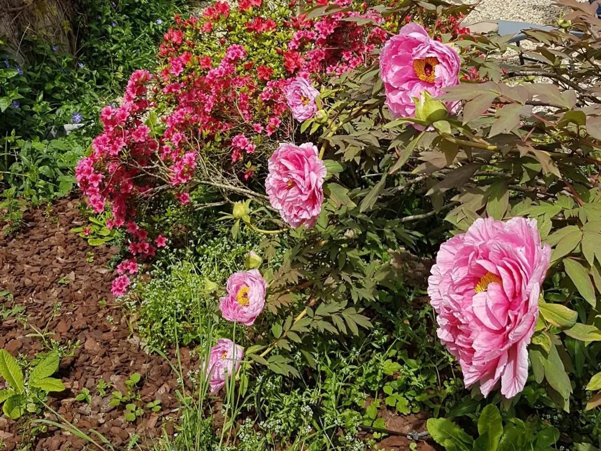 Maison Renovee Avec Jardin Clos, Proche Du Centre Historique, Ideale Pour Famille Ou Teletravail - Fr-1-489-439 Moulins  Holiday home